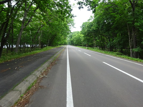 DSC00531