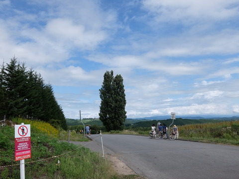 DSCF7384
