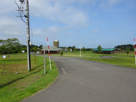 DSC00707