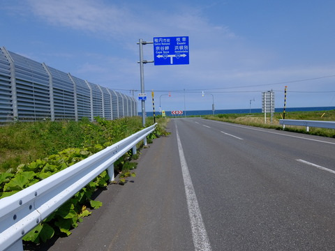 DSCF2806