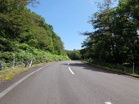 DSCF5033