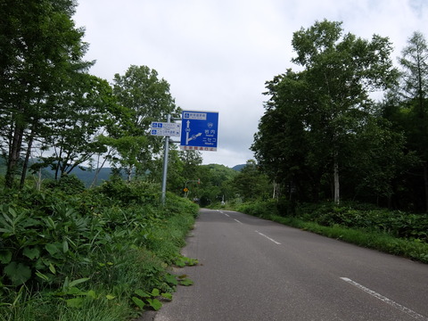 DSCF4381