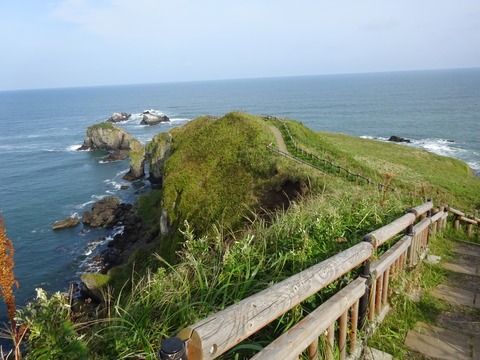 DSC00744