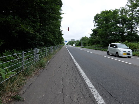 DSCF3946