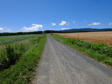 DSCF3173