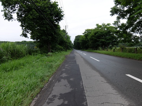 DSCF3808