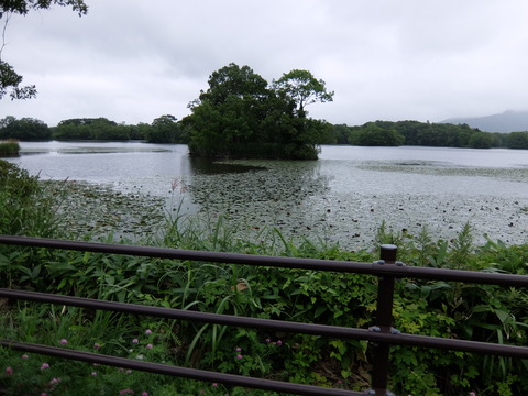 DSCF3952