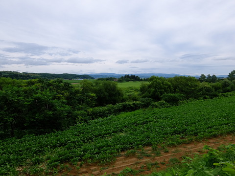 DSCF3033