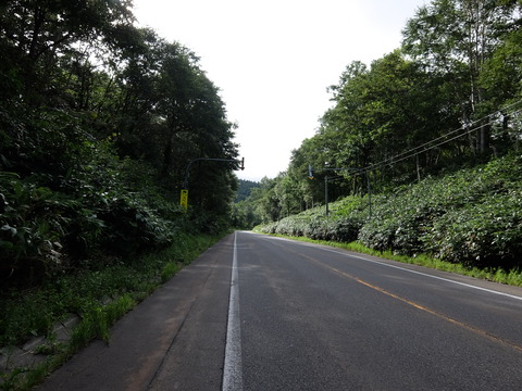 DSCF7237