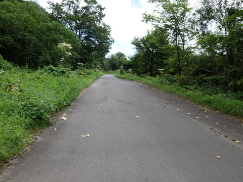 DSCF7292