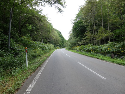 DSCF7360