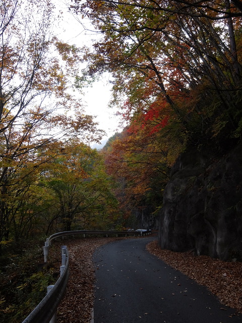 DSCF2048