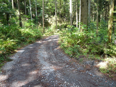 P1020059