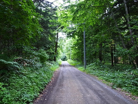 R0011944