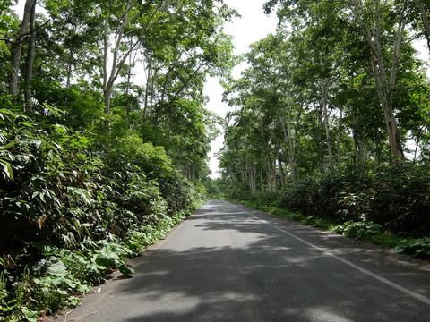 DSCF4406
