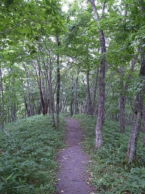 R0011472
