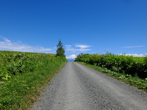 DSCF3182