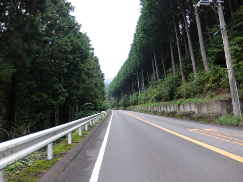 DSCF6433