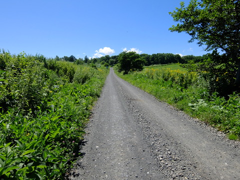 DSCF3171