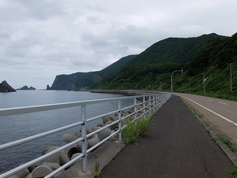 DSCF4531