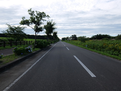 DSCF7019