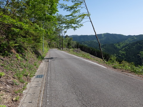 DSCF1846