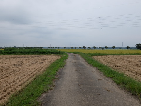 DSCF6442