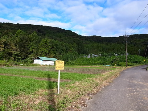R0011553