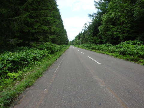 DSC00191