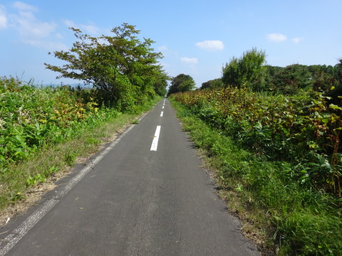 DSC00317