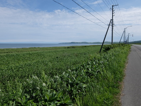 DSCF2768