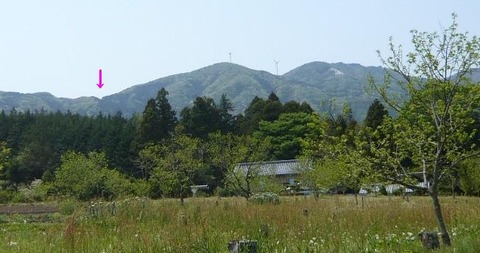 image001