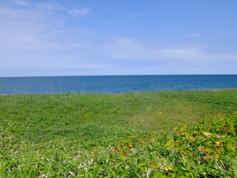 DSCF2807