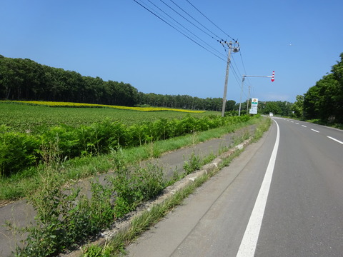 DSC00303