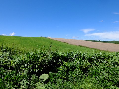 DSCF3170