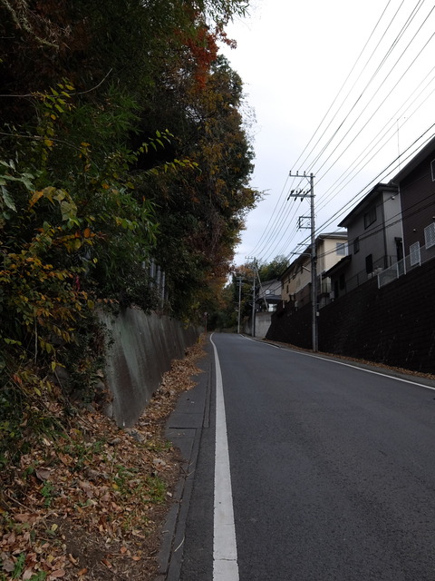 DSCF5860