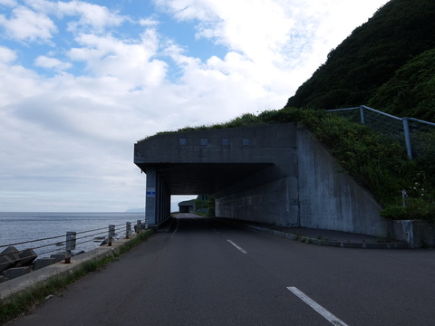 DSCF4211