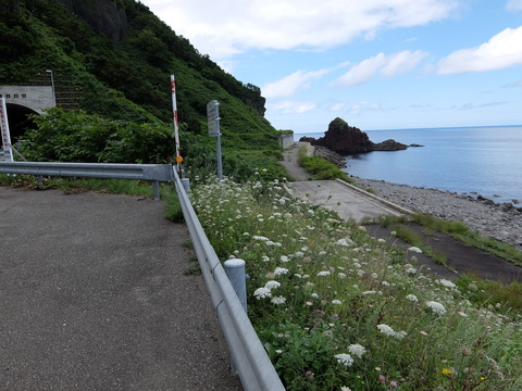 DSCF4266