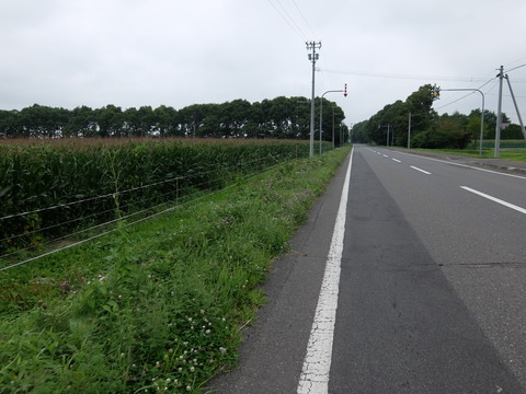 DSCF5127