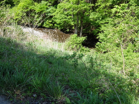 DSCF1786
