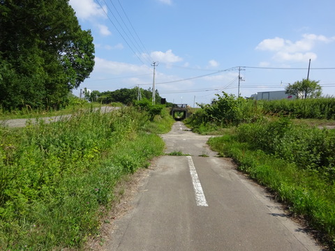 DSC00319