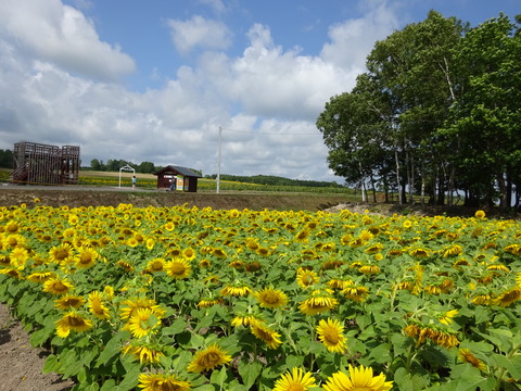 DSC00040