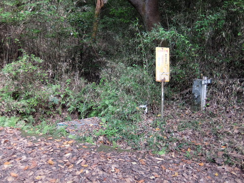 DSCF6225