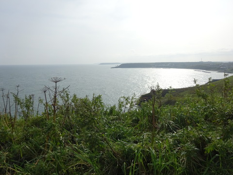 DSC00742
