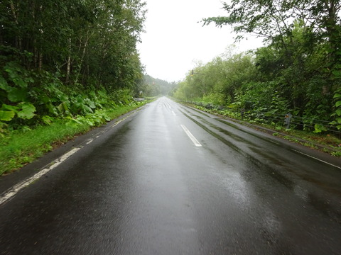 DSC00811