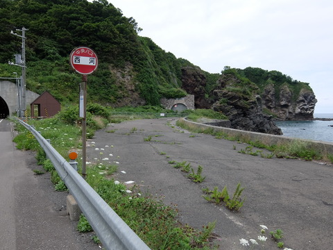 DSCF4605