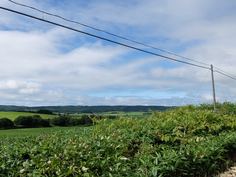 DSCF7147