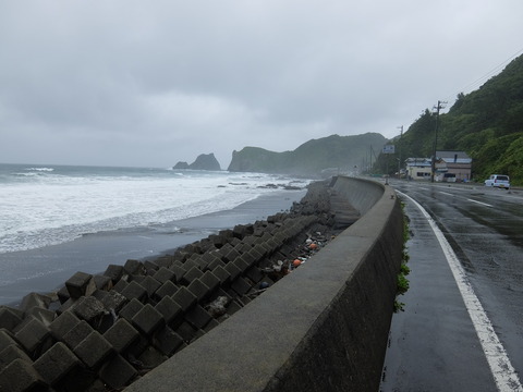 DSCF4006