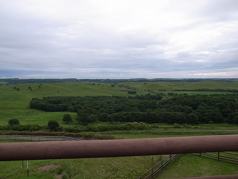 R0011458