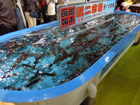 DSCF4019